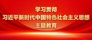 小姑娘操逼视频学习贯彻习近平新时代中国特色社会主义思想主题教育_fororder_ad-371X160(2)